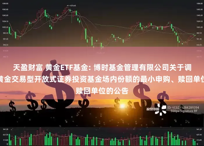 天盈财富 黄金ETF基金: 博时基金管理有限公司关于调整博时黄金交易型开放式证券投资基金场内份额的最小申购、赎回单位的公告